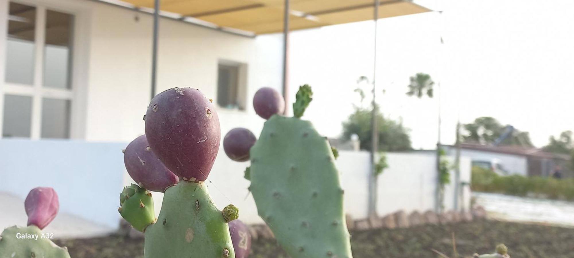 Almademari Giglio Casa Vacanza Pachino Pokoj fotografie
