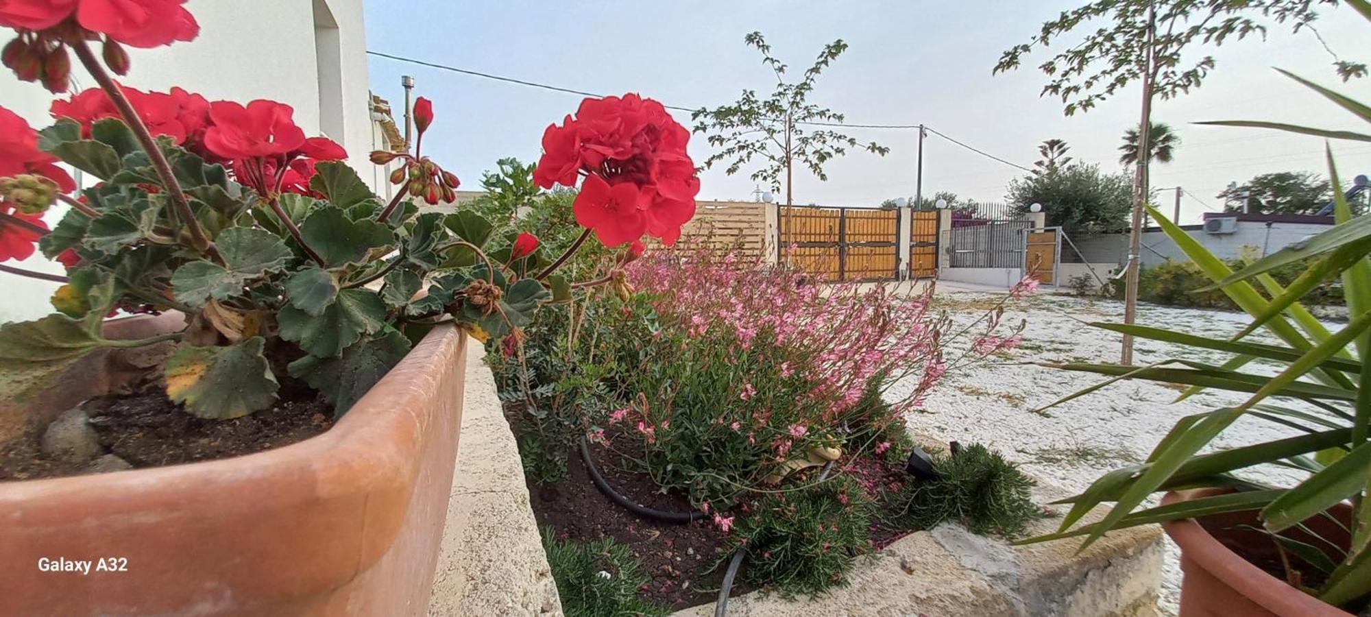 Almademari Giglio Casa Vacanza Pachino Pokoj fotografie